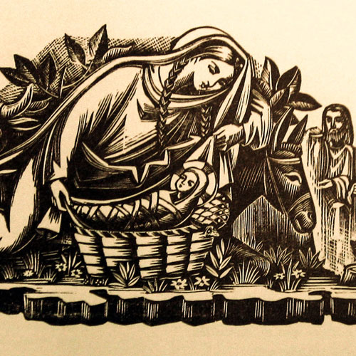 Pessebres<br><x>Infants, ocells i nadales</x>