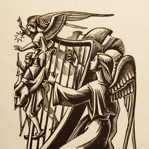 Nit blanca<br><x>Infants, ocells i nadales</x>